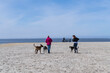 © Heidi Bollich - Hundestrand in Norddeich
