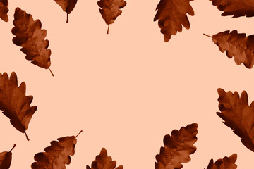 oak leaves painted rust orange frame on an beige background October autumn card