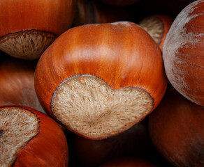 Wall Mural - Hazelnut. The nut looks like a heart.