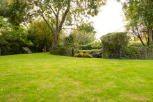 Well-maintained Lawn And Private Gardens Seen After The Large Lawn Area Was Cut. A Large Stock Of Trees And Bushes Are Visible.