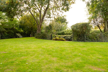 Well-maintained lawn and private gardens seen after the large lawn area was cut. A large stock of trees and bushes are visible.