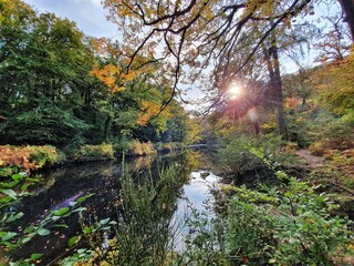 autumn in the park