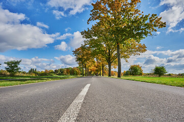 Landscape with an avenue and colorful autumn trees in the surrounding region of Berlin.