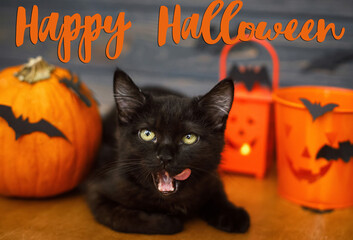 Happy Halloween text on black evil cat delicious licking on background of pumpkin, bats, jack o lantern candy bucket, celebrating halloween at home. Handwritten sign, seasonal greeting card