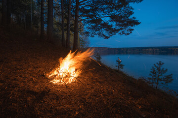 Wall Mural - the flame of a burning fire on the riverbank in autumn.
