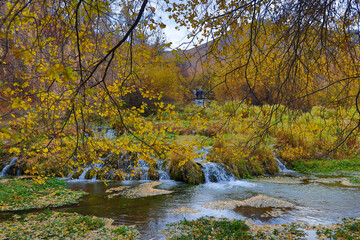 Wall Mural - mountain stream