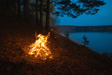 Wall Mural - the flame of a burning fire on the riverbank in autumn.