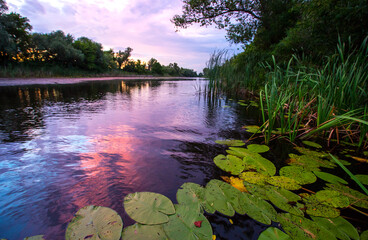 Wall Mural - Sunset scene on lake