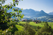 Dorf in Südtirol umgeben von Wald, Wiesen und Wein