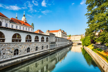 Wall Mural - Ljubljana City Center during a Sunny Day overlooking Lublanka River