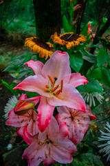 Poster - flores rosados y girasoles con hojas verdes 