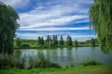 Wall Mural - idyllic summer landscape green trees shore line of peaceful pond reservoir clear weather day time of June