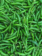 High angle close-up view of fresh green serrano chili peppers displayed for sale at a grocery market