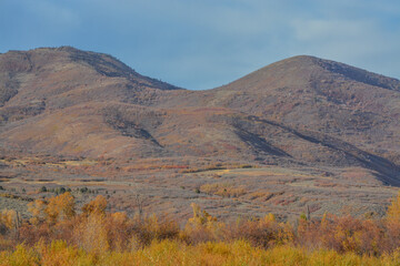 Wall Mural - Beautiful autumn leaf colors in the Uinta National Forest of the Uinta Mountains in Utah