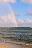 Fototapeta Tęcza - Rainbow in the Ocean, Diamond Head Beach Park, Honolulu, Oahu, Hawaii