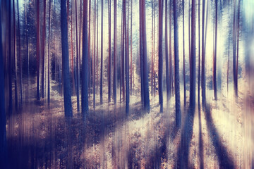 autumn forest blurred motion background / soft yellow nature landscape in autumn park