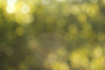 Wall Mural - Light shining on tree leaves. Blur Abstract Background. brown leaves Summer fall Background. Focus Bokeh Background.