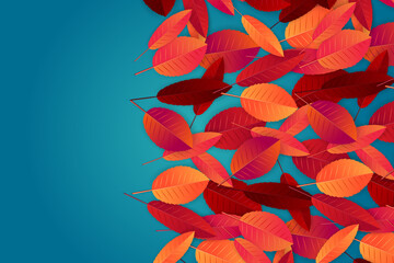 Wall Mural - Fall or autumn design with red and orange leaves on blue background. Vector illustration.