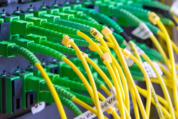 fiber optic cables connected into main data switch