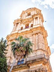 Canvas Print - View of Malaga cathedral, Spain