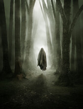 A Dark Ghostly Figure Moving Through A Misty Forest In The Evening. Spooky Concept.