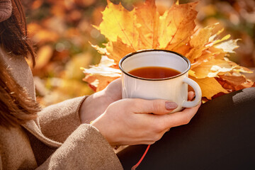 girl is drinking tea in the forest or park, female hands are holding a mug with a hot drink, autumn mood, weekend in autumn in the park, leaf fall season, welcome autumn