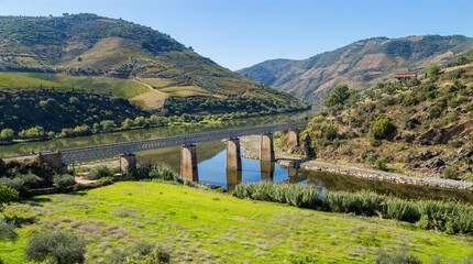 Wall Mural - Douro Valley and river