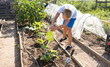 © JackF - Little boy digs up beds with a scoop and watering from a watering canGetting to know the neighbors at the country houses in village. High quality photo
