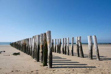 Wooden Posts of a beach erosion protection system along the beach at the town of Vlissingen in Zeeland Province in the Netherlands