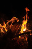 Fototapeta Storczyk - Feu de camp avec des grosses flammes orangées et du bois