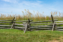 Weathered Grey Zig Zag Split Rail Fencing Also Known As Worm Fence With Green Grass In Front And Tall Amber Grain Behind