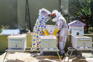 Wall Mural - Beekeeper controlling beehive and comb frame, harvesting honey. Beekeeping concept.