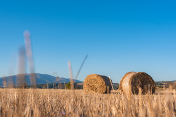 Hay straw field golden close-up beautiful summer rural sun landscape bulgaria perspective creative