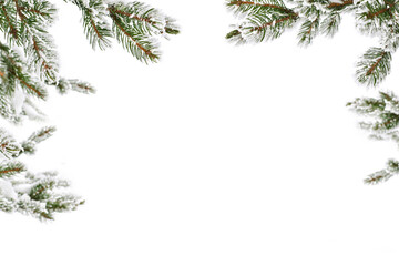 frame of twigs of christmas tree ( spruce ) covered hoarfrost and in snow on a white background with