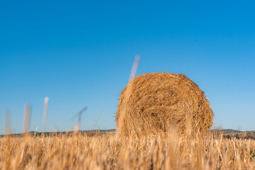 Hay straw field golden close-up beautiful summer rural sun landscape bulgaria perspective creative