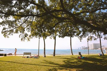 Poster - sans souci state recreational park, honolulu, oahu, hawaii