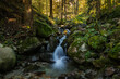 © graziartw - cascata di ruscello di montagna nel parco del Marguareis in Piemonte
