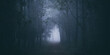 © chokniti - Misty landscape with fir forest in hipster vintage retro style, Scenery with path in dreamy foggy forest