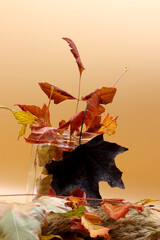 Wall Mural - colored dry autumn leaves on the background