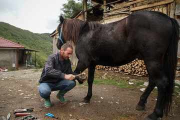 Wall Mural - The master pincers removes the grown nail. A farrier works on a horse foot to clean it before creating a horseshoe for the animal