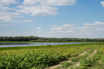 blue river on a background of green forest and grass