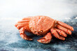 Boiled hairy or horsehair crab, selective focus