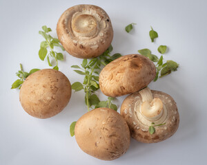 cave mushrooms or chestnut mushrooms in a white background dressed with dwarf basil leaves