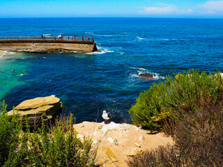 The Children's Pool in La Jolla, California