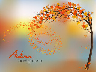 Fototapete - Autumn nature background with a tree and a colorful leaves. Vector.