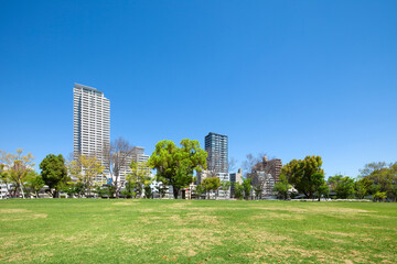 Canvas Print - 中之島公園と町並み