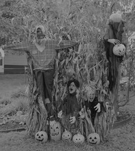 A Halloween Decoration In Black And White.