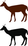 Fototapeta Konie - deer silhouette vector