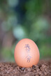 © zhenya - The eggs on the soil are written with two Chinese characters for spring equinox