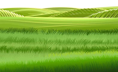 Wall Mural - rural hills. scenery. vector. pasture grass for cows and a place for a vegetable garden and farm. me